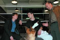 Rex, chien flic
