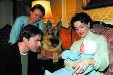 Rex, chien flic