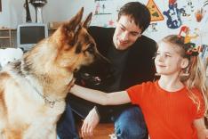 Rex, chien flic