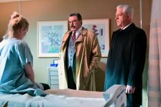 Blue Bloods
