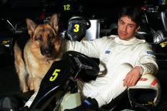 Rex, chien flic