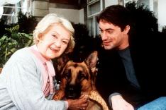 Rex, chien flic