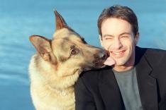 Rex, chien flic