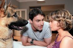 Rex, chien flic