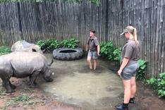 SOS animaux orphelins
