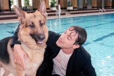 Rex, chien flic
