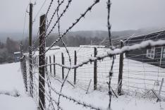 Struthof, le camp oublié