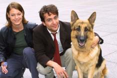 Rex, chien flic