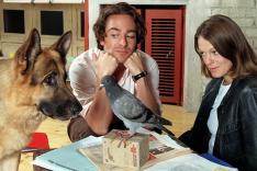 Rex, chien flic