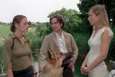 Rex, chien flic