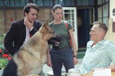 Rex, chien flic