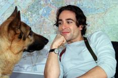 Rex, chien flic