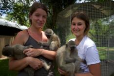 SOS animaux orphelins