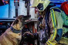 Animal Rescue Team