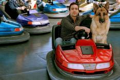 Rex, chien flic