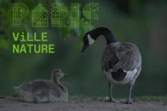 Paris ville nature