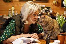 La vie secrète des chats
