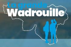 La Grande Wadrouille : la quotidienne
