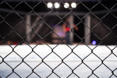 MMA : PFL Africa