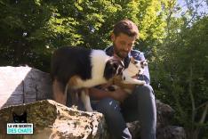 La vie secrète des chats