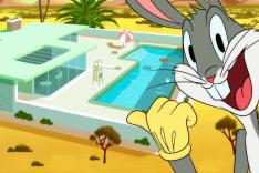 Looney Tunes Cartoons