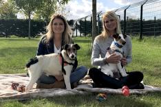 Animaux à adopter