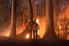 Fire Country