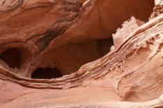 Les espaces sauvages d'Amérique