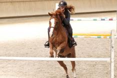 Au galop ! Une saison à cheval