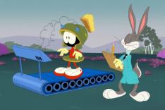 Looney Tunes Cartoons