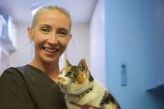 Cat Hospital