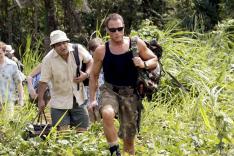 Welcome to the jungle