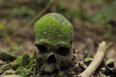 Vanuatu, l'éveil des chefs