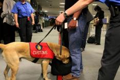 Douanes sous haute surveillance