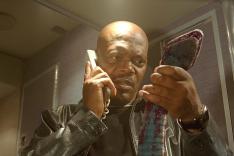 Des serpents dans l'avion