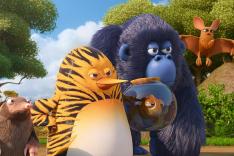 Les as de la jungle à la rescousse