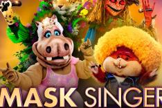 Mask Singer, l'enquête continue