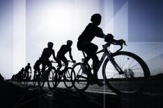 Cyclisme : Championnat des Flandres