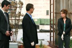 Les experts : Manhattan