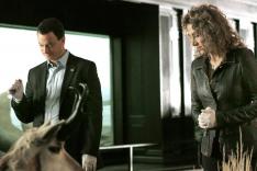Les experts : Manhattan