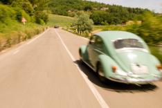 Immortelle Coccinelle