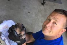 Louis et la faune urbaine