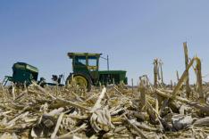 L'Incroyable ferme des Pols