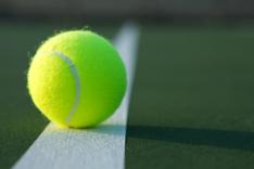 Tennis : Coupe Davis