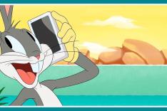 Looney Tunes Cartoons