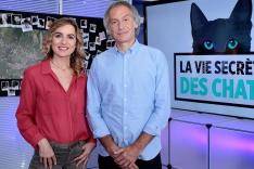 La vie secrète des chats