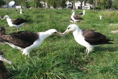 Les espaces sauvages d'Amérique