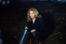Alice Nevers