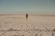 Estrellas del desierto