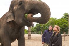 Expédition Pairi Daiza